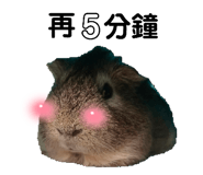 745373114