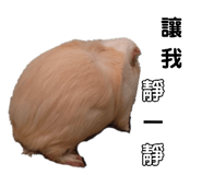745373116