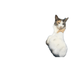 745375684