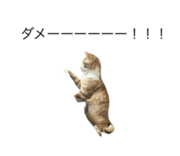745375688