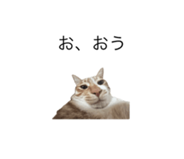 745375697