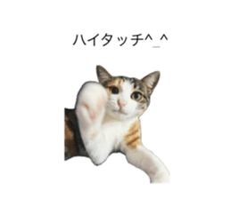 745375700