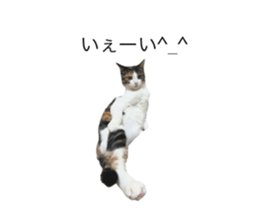 745375703