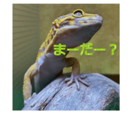 745381856