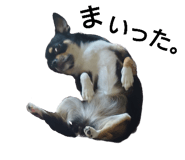 745385563