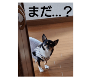 745385564