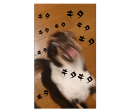 745385571