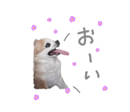 745402507
