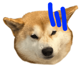 745404226