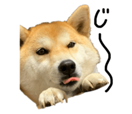 745404229