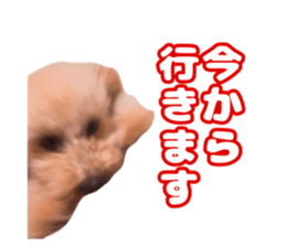 745411663