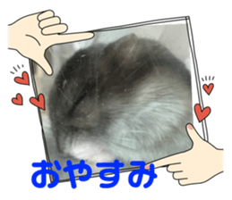 745412353