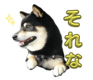 745412904