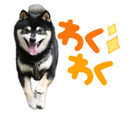 745412912