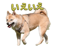 745412918