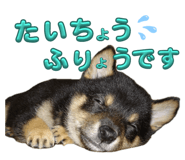 745412924