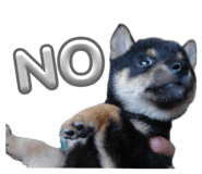 745412930