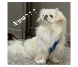 745413662