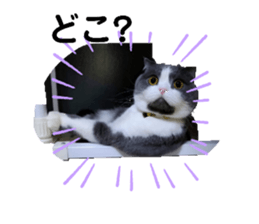 745415089