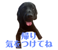 745418394
