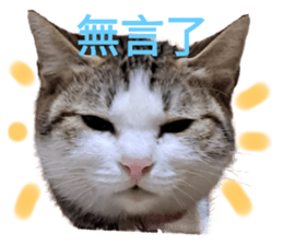 745421114