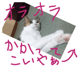745423234