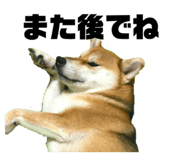 745423270