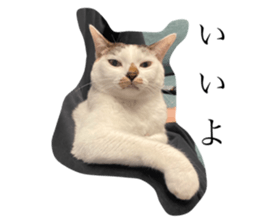 745427061