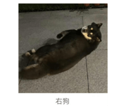 745429890