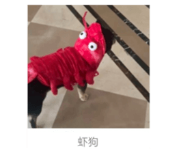 745429897