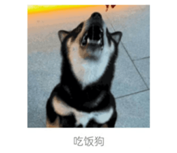 745429898