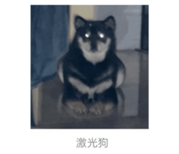 745429903