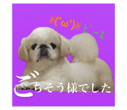 745430816