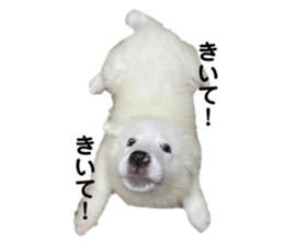 745433844