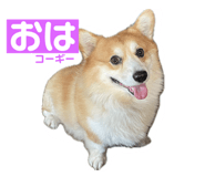 745434257