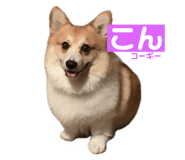 745434258