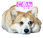 745434259