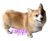 745434260