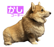745434263