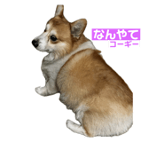 745434264