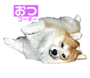 745434266