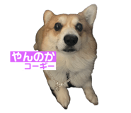 745434268