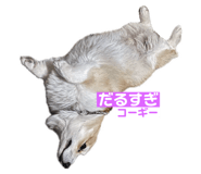 745434269