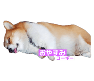 745434270