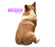 745434272