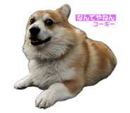 745434274
