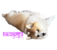745434276