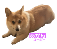745434278