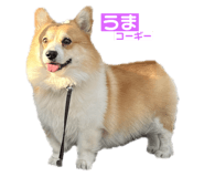 745434280