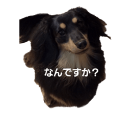 745434434